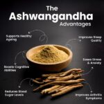 Ashawagandha powder-01