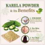 Karela Powder-01 (1)