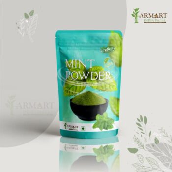 Mint (Pudina) Powder