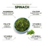 spinach flacks-01