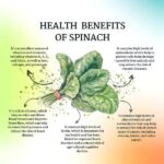 spinach flacks-01
