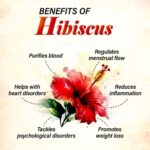 Hibiscus-Powder (1)