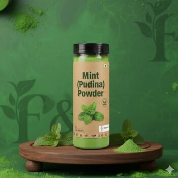 Mint (Pudina) Powder
