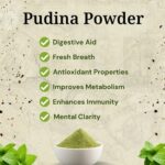 Mint -Pudina-Powder (1)
