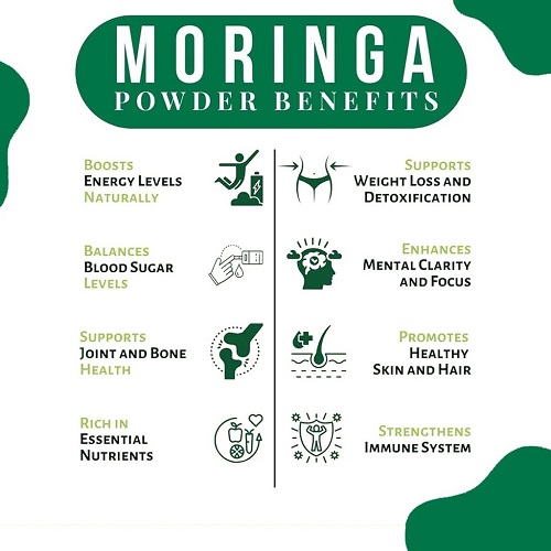 Moringa Powder Conventional (3)